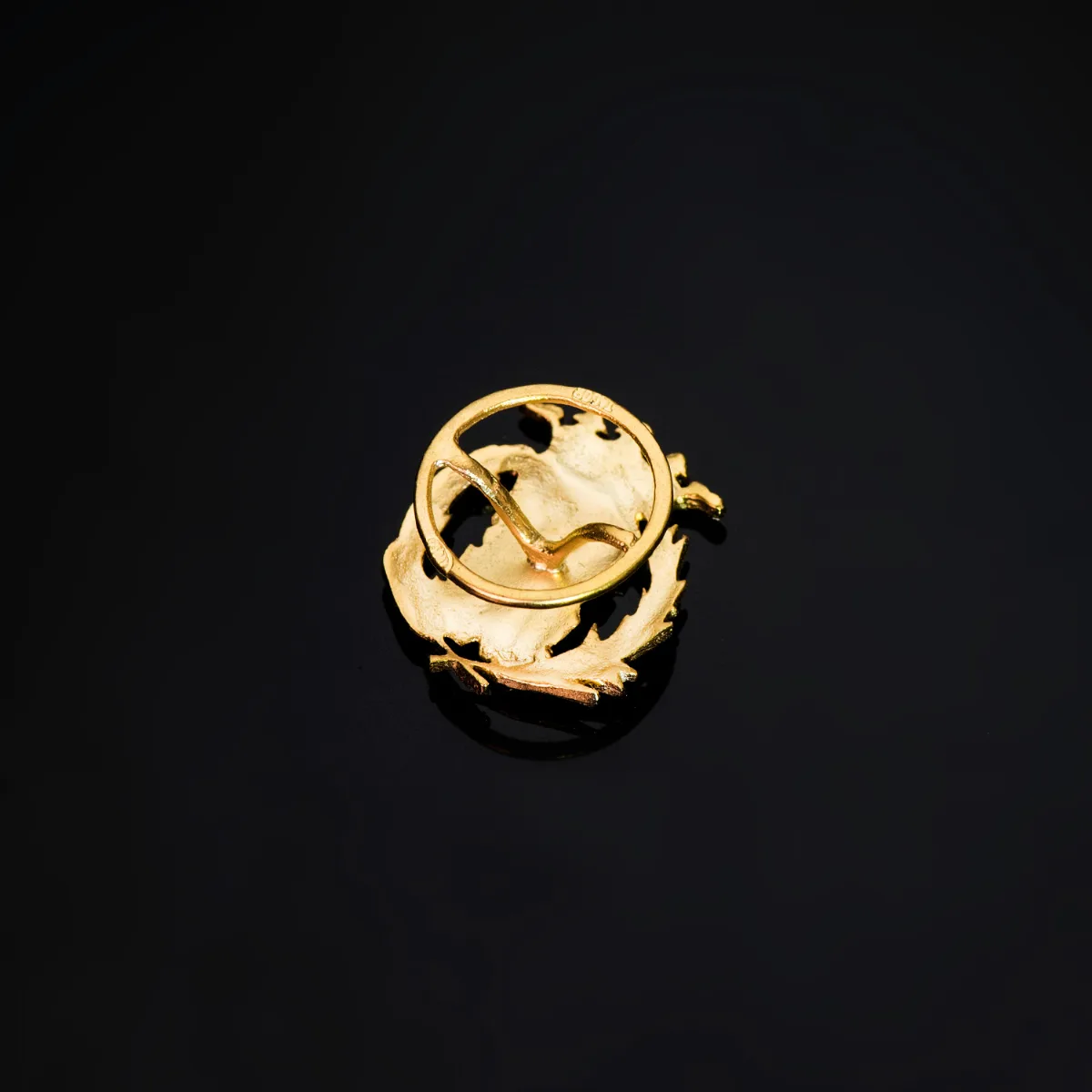 18K INSIGNIA ORO AMARILLO CIENCIAS EXACTAS ( MATEMATICAS )  17 X 14 MM — vista 3