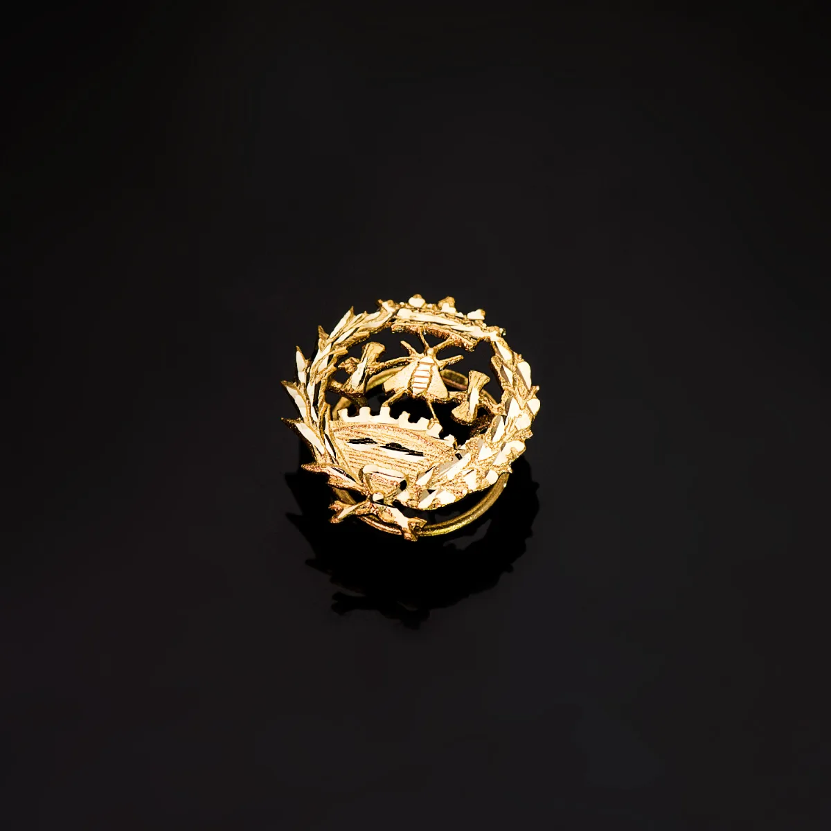 18K INSIGNIA ORO AMARILLO CIENCIAS ECONOMICAS 18 X 17 MM — vista 2