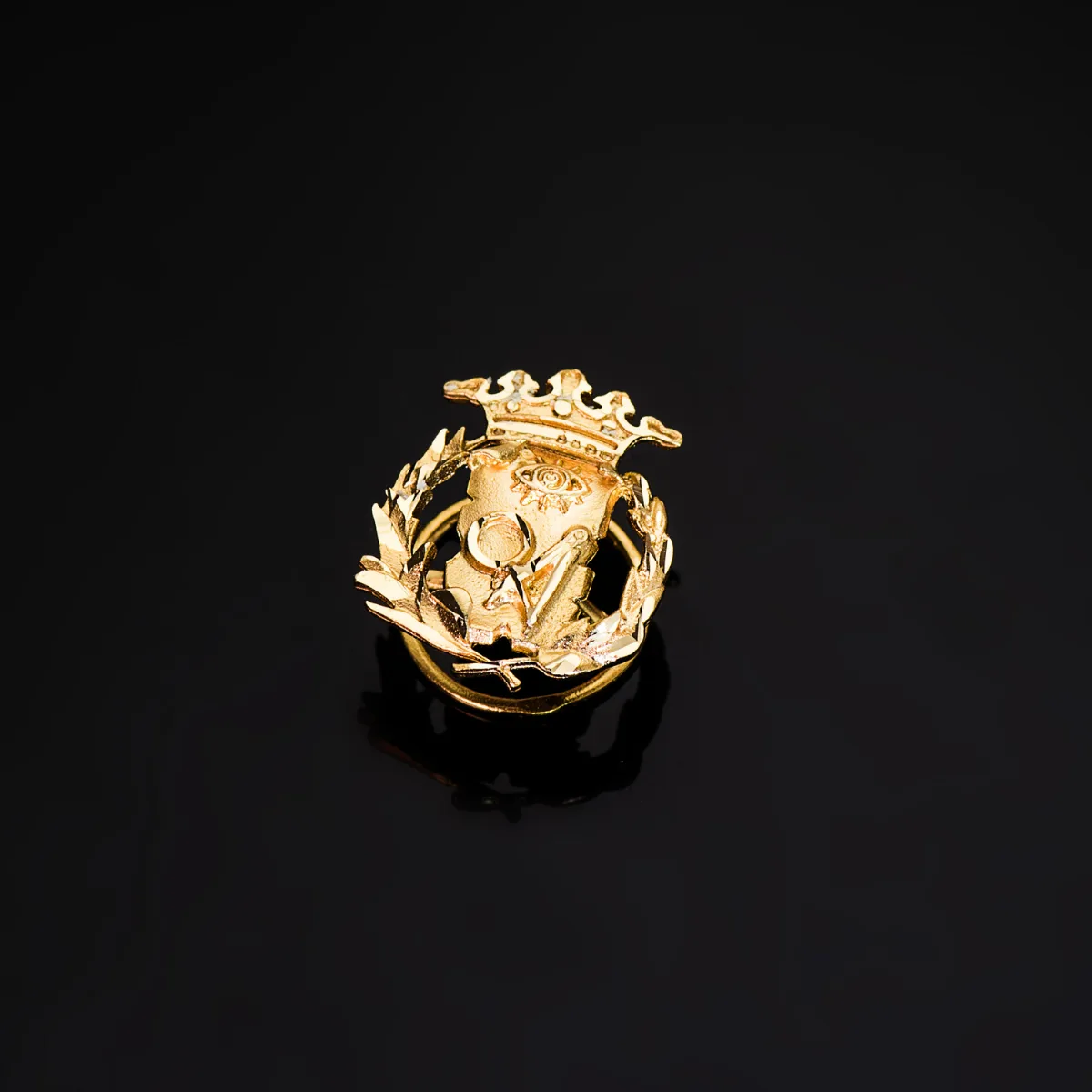 18K INSIGNIA ORO AMARILLO CIENCIAS EXACTAS ( MATEMATICAS )  17 X 14 MM — vista 2